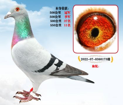 (qing)](j)  P(gun)P(gun)λ  ؚw