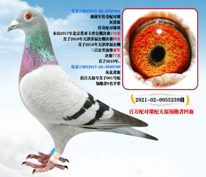 ܊f(wn)䌦(du)츣I(lng)߻Ѫ