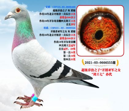 (j)֮ӡ_(chung)܊֮Ů