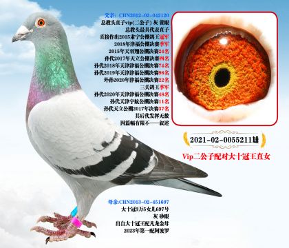 ^vipӡʮֱŮ