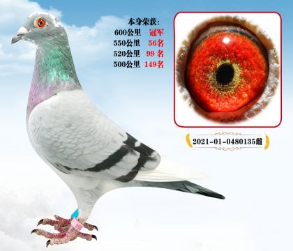 (qing)]600܊  L(zhng)w P(gun)P(gun)λ