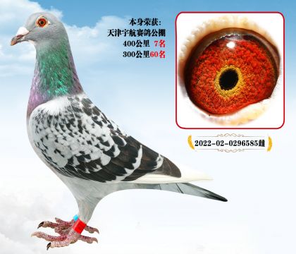 ِ4007  Ӵs@θλ