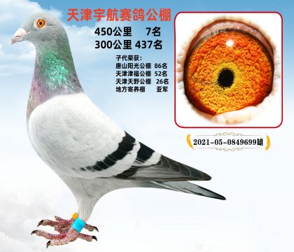 ِ4507 Ӵl(f)](sh)