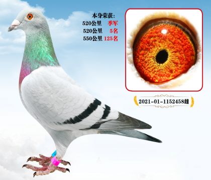 (j)  (zhn)N Ӵλl(f)]