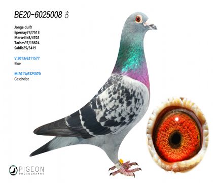 WՠW003xֱŮH