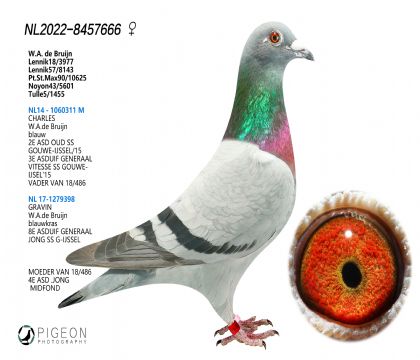 S666~ޱֱŮ~ N