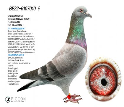 ǲԭᡰSW999