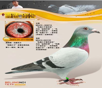 Ҽ̖ᏈҡѪϵ (ni)õ