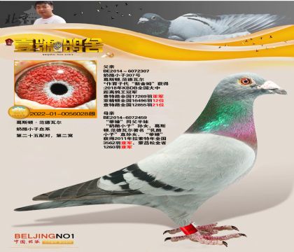 Ҽ̖ᏈҡѪϵ (ni)õ