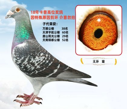 18꿨ի@(jing)N Ӵλl(f)]ԭh(hun) 