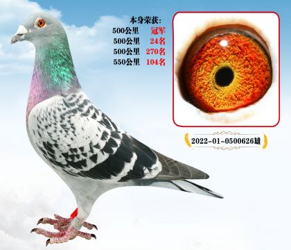 N 500 ܊  P(gun)P(gun)λ P(gun)P(gun)w