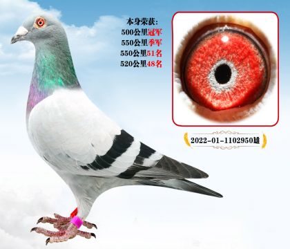 N 500܊  P(gun)P(gun)λ
