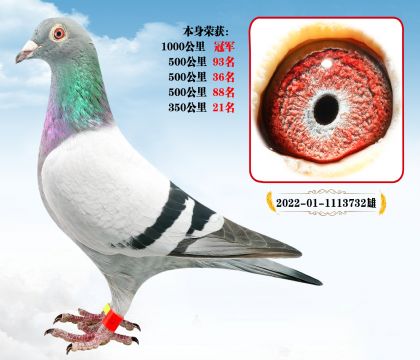 ǧ܊ l(f)]  ؚw