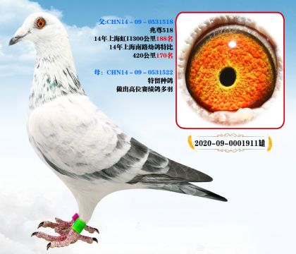ee̖ Ӵl(f)]