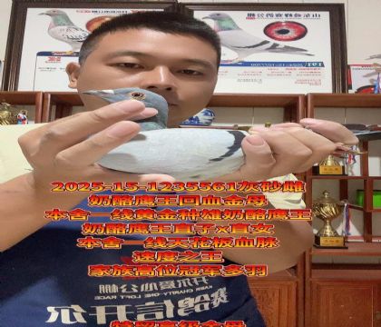 ֱxֱŮѪĸѪ}