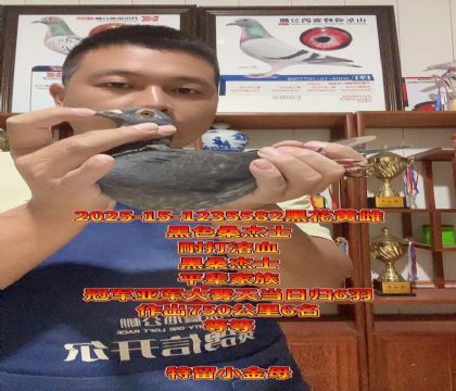 ɫɣʿʹѪ߼Сĸ