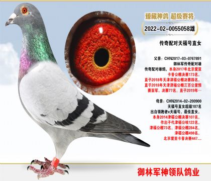 ܊䌦츣ֱ̖Ů