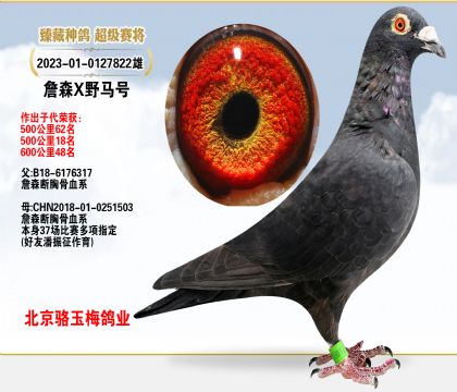 ÷I(y)ղɭXҰR̖(qing)NӴ԰l(f)]