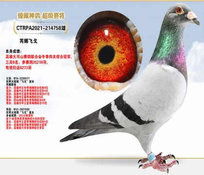 _Ѿ輯F(tun)ԭ᱾P(gun)CϹ܊