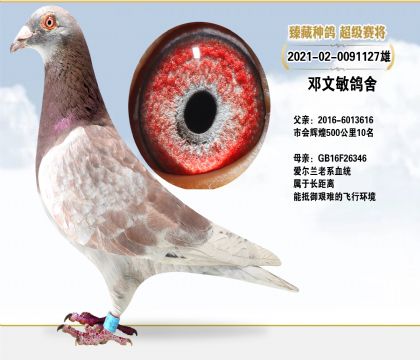 ᳬ(qing)NӴ԰l(f)]λ