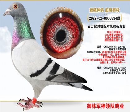 ܊I(y)f䌦䌦^ֱŮ