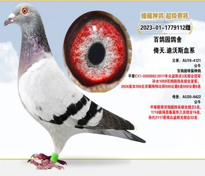 @졣˹(qing)Ѫ