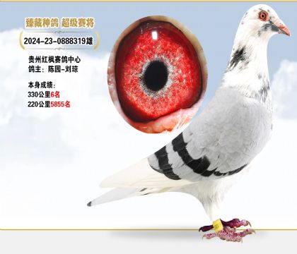 Fݼtِꐈ@-3306
