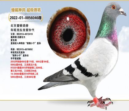 Ҽ̖pO(qing)
