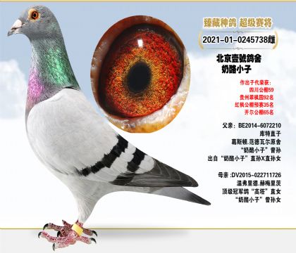 Ҽ̖᣺˹Dߠ(qing)
