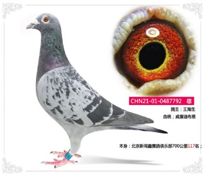 Jِ㘷(l)700117   	