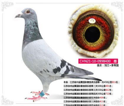Kݽ(gu)Hِ㘷(l)P(gun)C512   