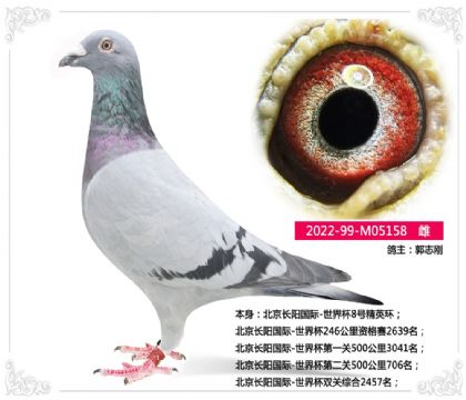 L(zhng)(yng)(gu)H-籭pP(gun)C2457   