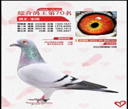 _(ki)(chung)FP(gun)ِP(gun)C70  	
