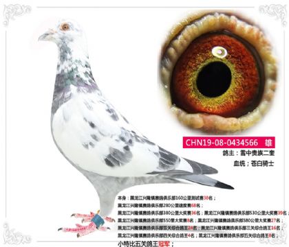d¡(zhn)ِ㘷(l)СرP(gun)܊  	