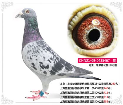 Ϻ孇(gu)H㘷(l)P(gun)550311   	