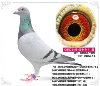 ҿڑcِFڶP(gun)715   	