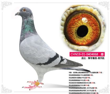 ӱ׿h(hu)رȭh(hun)ڶP(gun)5304  	