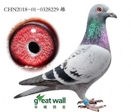 Ї(gu)L(zhng)I(y)--׵229   	