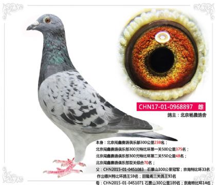 --Jِ㘷(l)pP(gun)C70   	