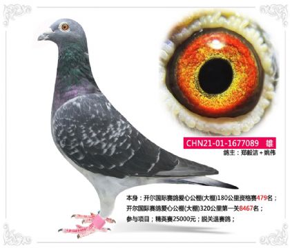 _(ki)(gu)Hِ(i)Ĺ()180Yِ479 	