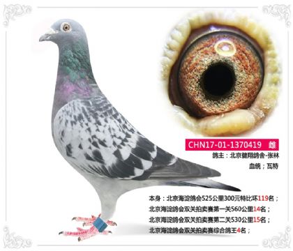 (hu)pP(gun)uِC4  	