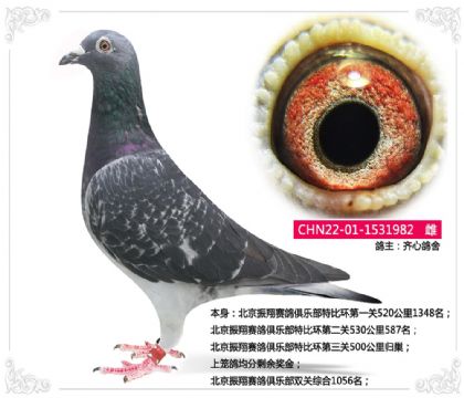 ِ㘷(l)رȭh(hun)ڶP(gun)530587   