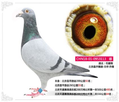 ِͨ㘷(l)رȭh(hun)ڶP(gun)55084   	