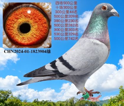 Ĉ(chng)500 ʮ(chng)300