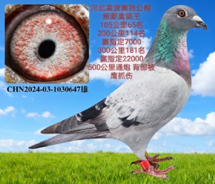 貨 ̾x