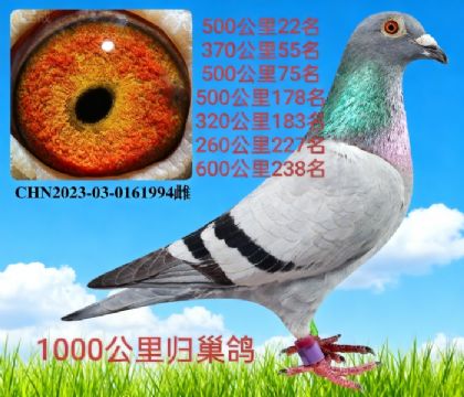 50022 ǧw