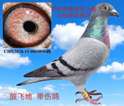 xͼӏ(qing)ِ 
