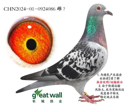 2.sҫ̖(ho)O.0924086