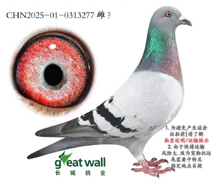 3.Ӵ.0313277