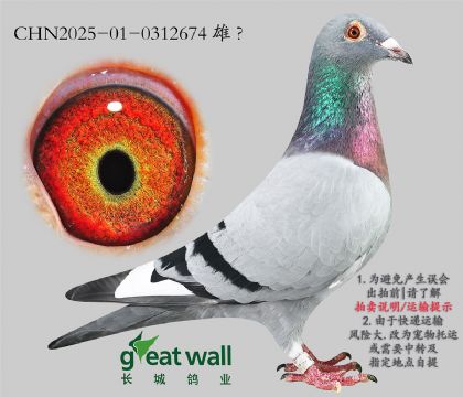 4.Ħ˹O.0312674